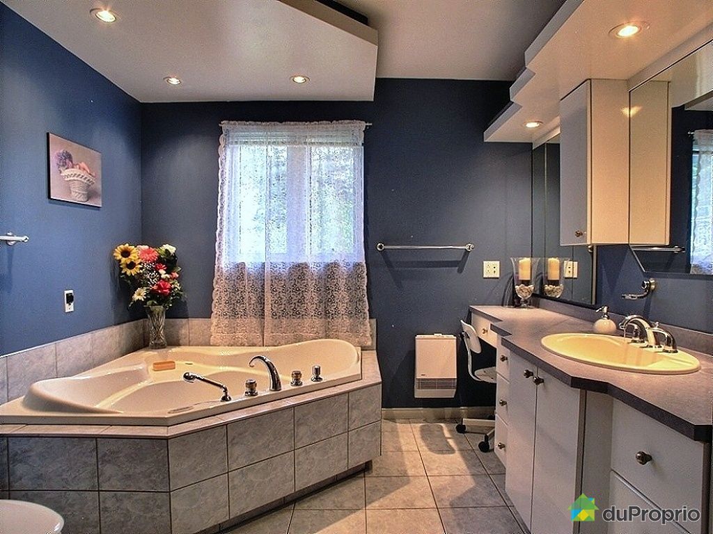 Maison à vendre StFaustinLacCarré, 1210, rue Principale, immobilier Québec DuProprio 434372 Maison à vendre StFaustinLacCarré, 1210, rue Principale, immobilier Québec DuProprio 434372