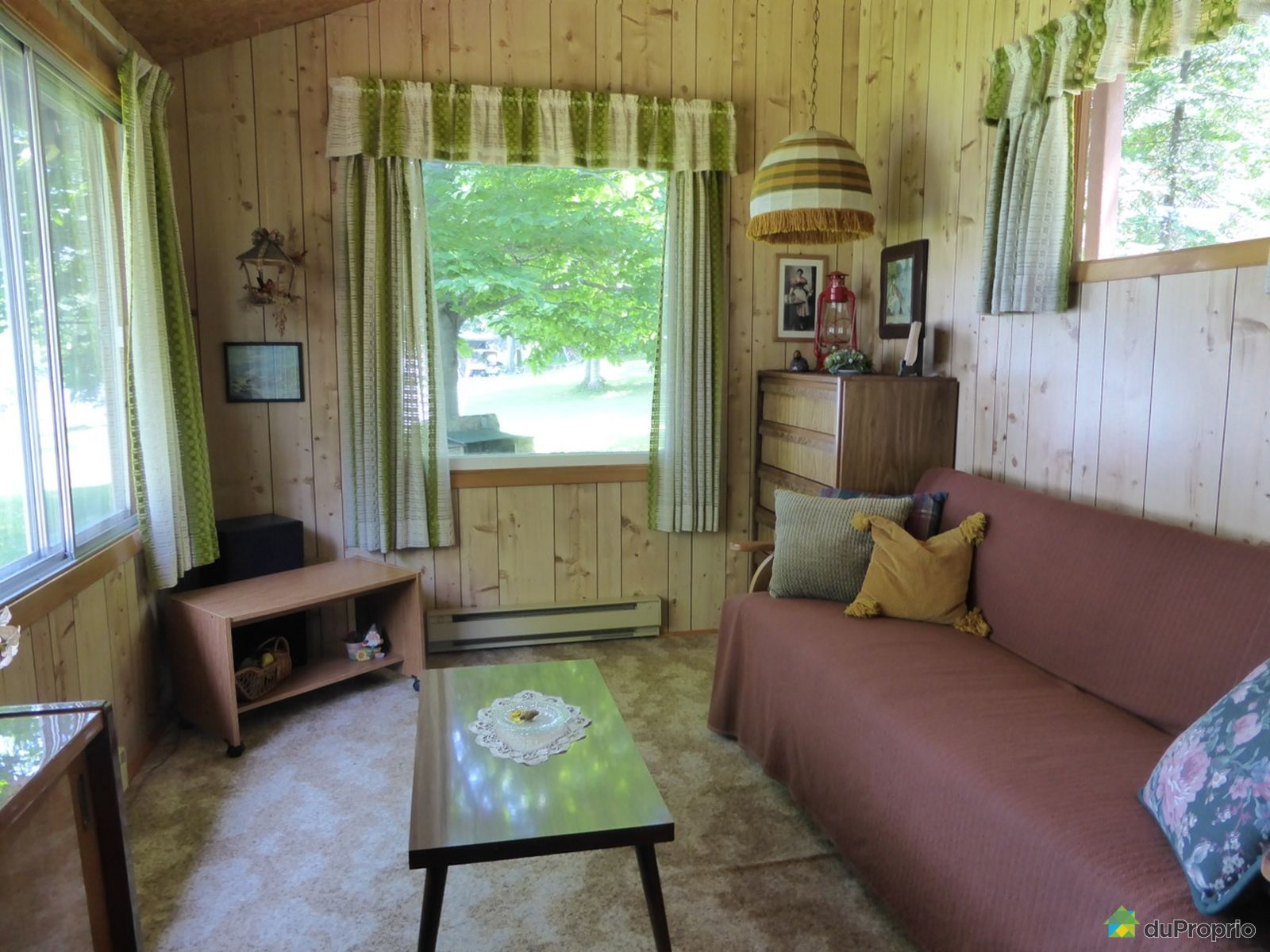 Chalet à vendre StAndréD'Argenteuil, 1817 chemin de l'ÎledeCarillon