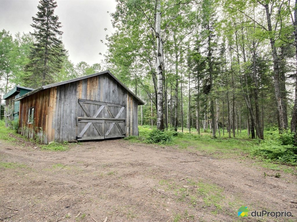 Chalet à vendre StFélixD'Otis, 51, chemin du LacÉternité, immobilier