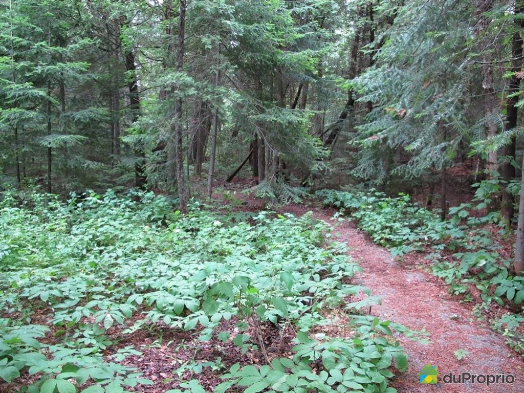 Chalet vendu StHenriDeTaillon, immobilier Québec DuProprio 94024