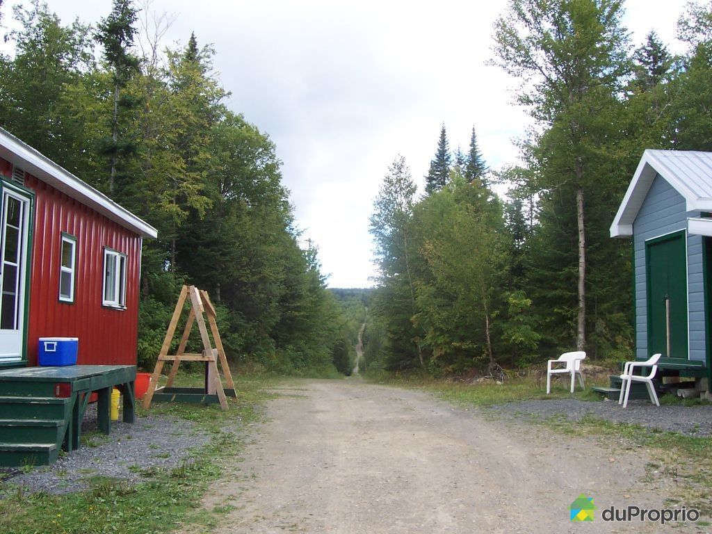 Chalet à vendre StReneDeMatane, 107 rang 14e, immobilier Québec
