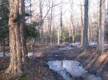 Terrain