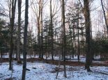 Terrain