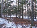 Terrain