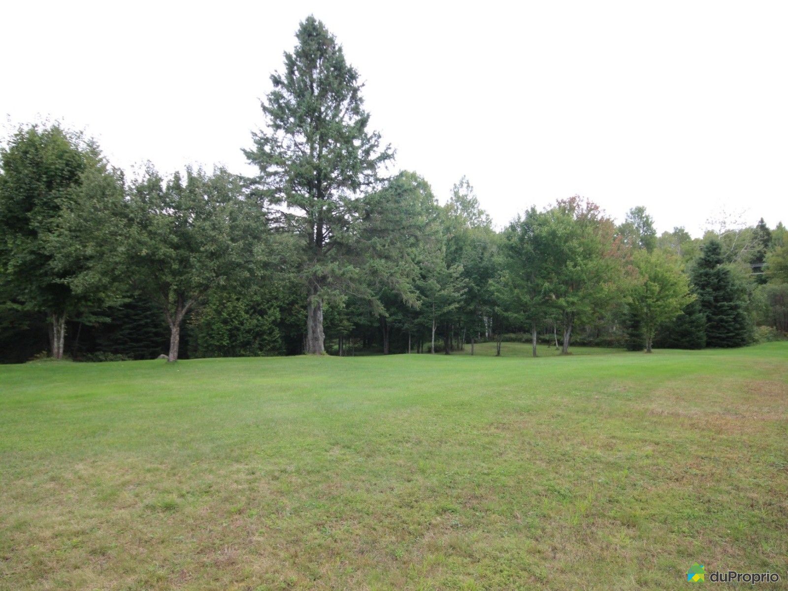 Domaine et villa à vendre SteÉmélieDeL'Énergie, 60 chemin des Blais, immobilier Québec
