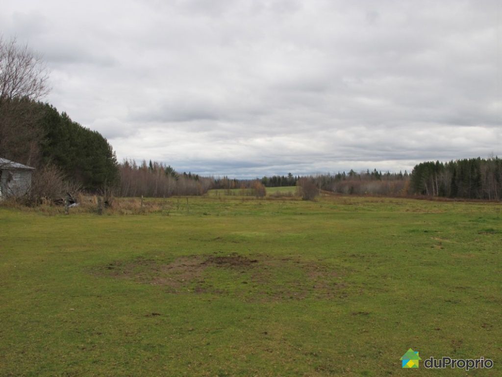 Fermette à vendre StApollinaire, 252 rang BoisJoly, immobilier Québec