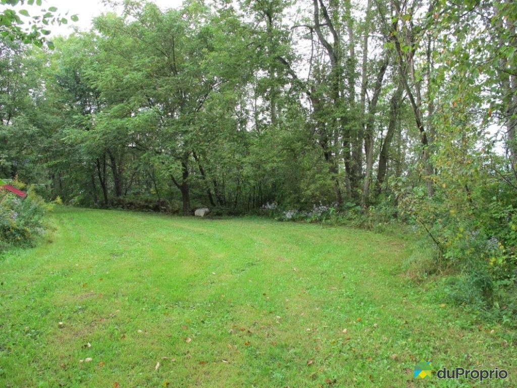 Maison à vendre Bouchette, 22 rue Principale, immobilier Québec