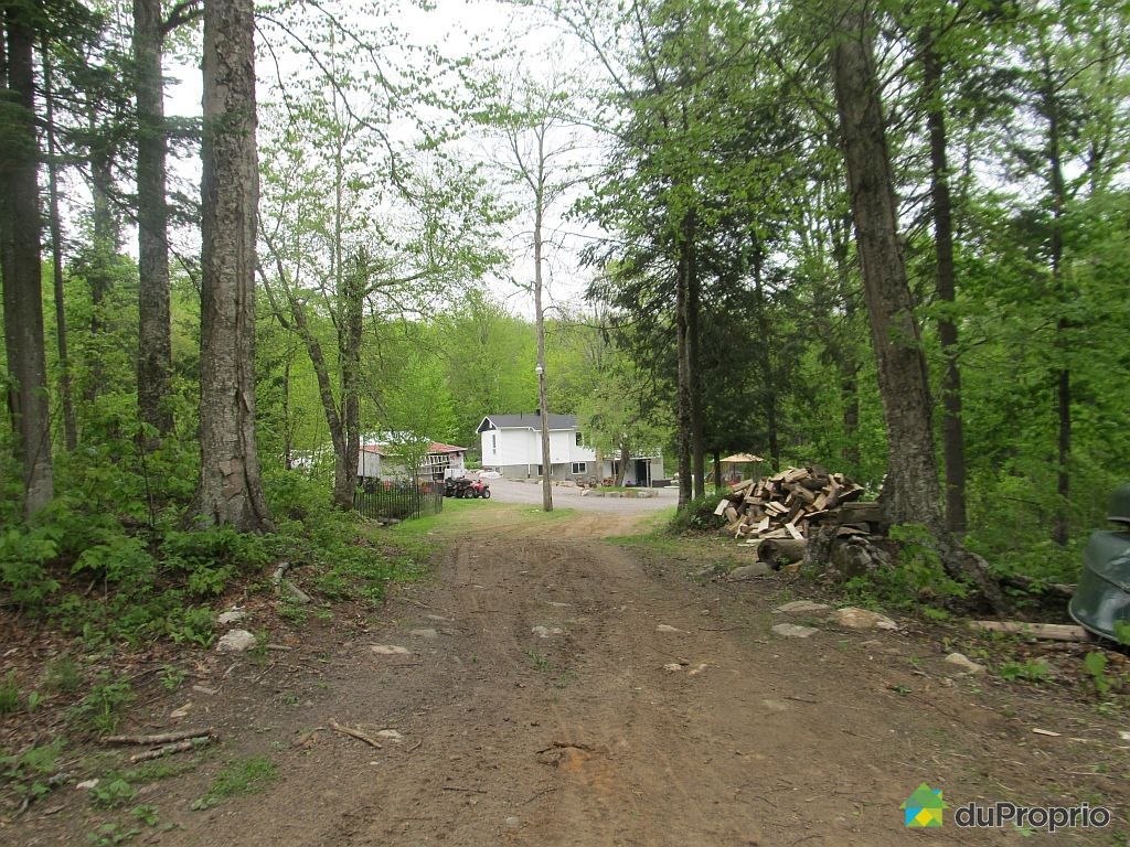 Maison à vendre ChuteStPhilippe, 439 montée des Chevreuils