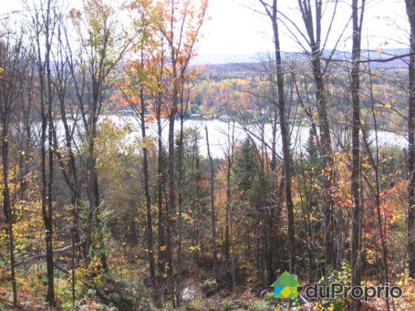 Fa�ade en �t� - LAc Huron - du haut de la montagne