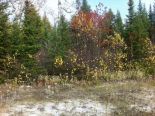 Terrain r�sidentiel � Preissac, Abitibi-T�miscamingue