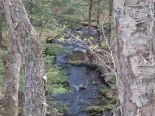 Rivi&egrave;re