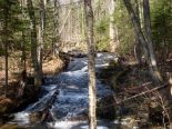 Ruisseau