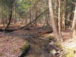 Ruisseau