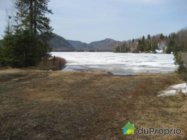 Terrain