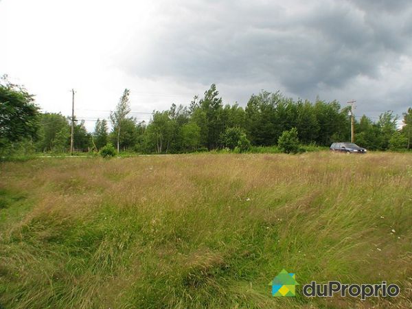 Terrain