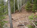Terrain