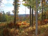 Terrain r�sidentiel � Hatley, Estrie