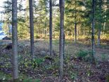 Terrain r�sidentiel � Lac-Saguay, Laurentides