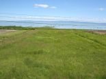 Terrain