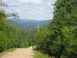 Terrain