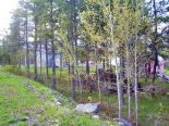 Terrain