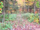 Terrain