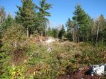 Terrain