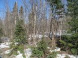 Terrain