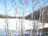 Terrain