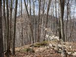Terrain