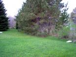 Terrain