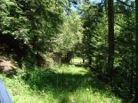 Terrain