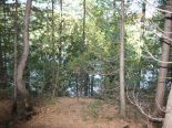 Terrain