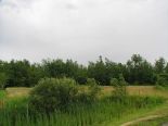 Terrain