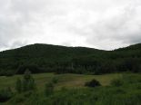 Terrain