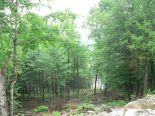Terrain
