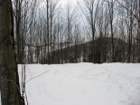 Terrain