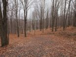 Terrain