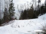 Terrain
