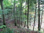 Terrain