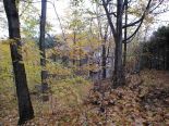 Terrain