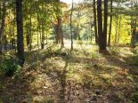 Terrain