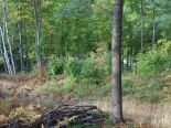 Terrain
