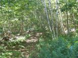 Terrain