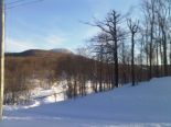 Terrain r�sidentiel � Sutton, Estrie