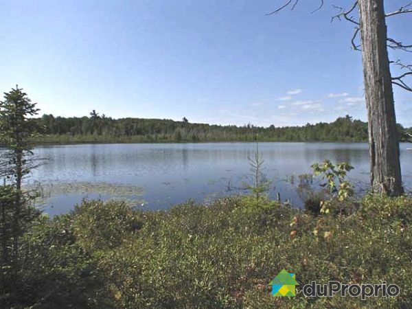 Vue sur le lac