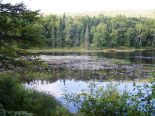 Terrain r�sidentiel � St-Donat, Lanaudi�re