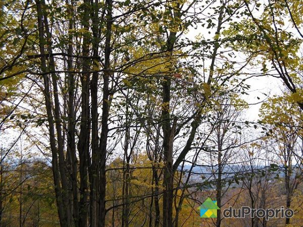 Vue sur montagnes