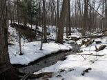 Terrain r�sidentiel � Shefford, Estrie