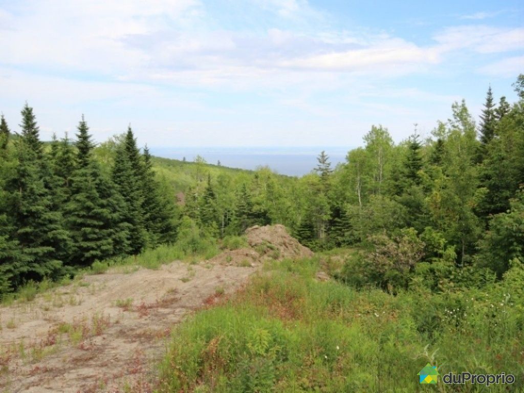 Terrain résidentiel à vendre Les Éboulements, 37, chemin de la Seigneurie, immobilier Québec